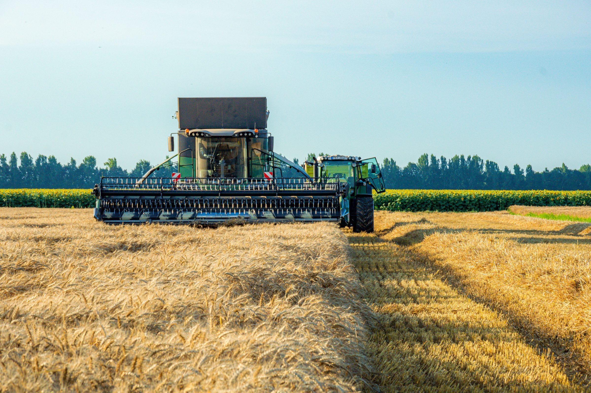 Tractor at work in the field